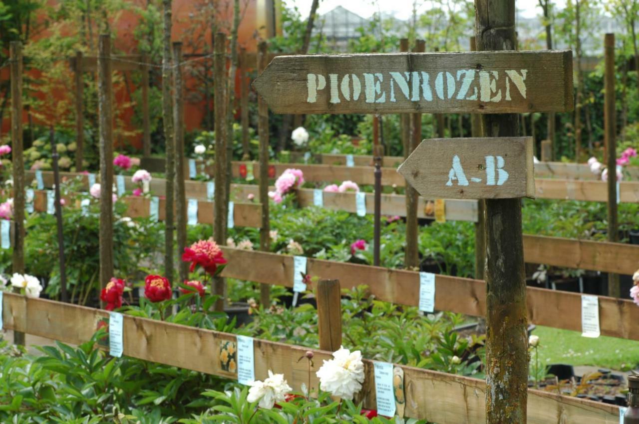 Pipowagen Overnachting Het Houten Huis Zaltbommel Esterno foto
