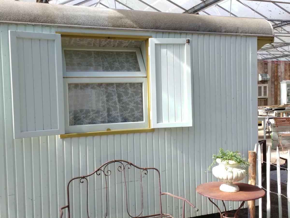 Pipowagen Overnachting Het Houten Huis Zaltbommel Esterno foto