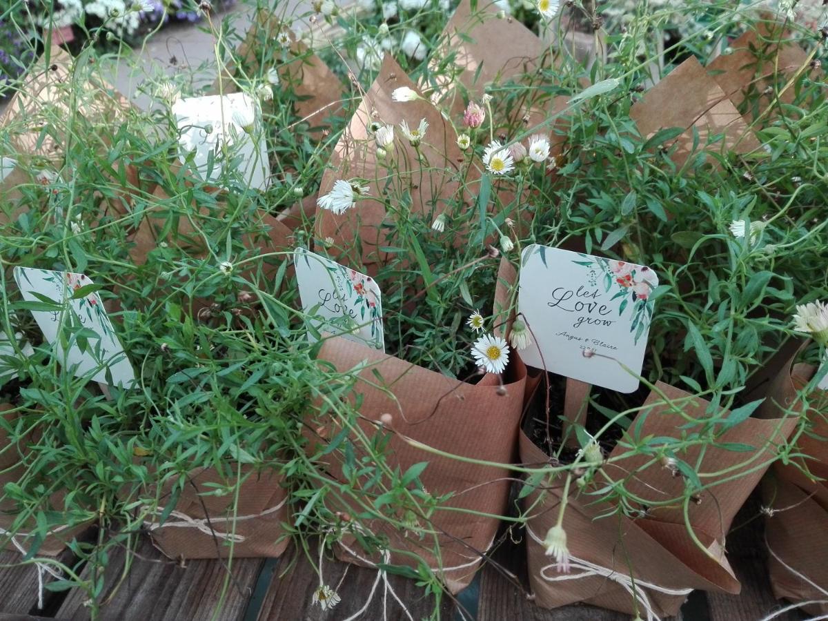 Pipowagen Overnachting Het Houten Huis Zaltbommel Esterno foto