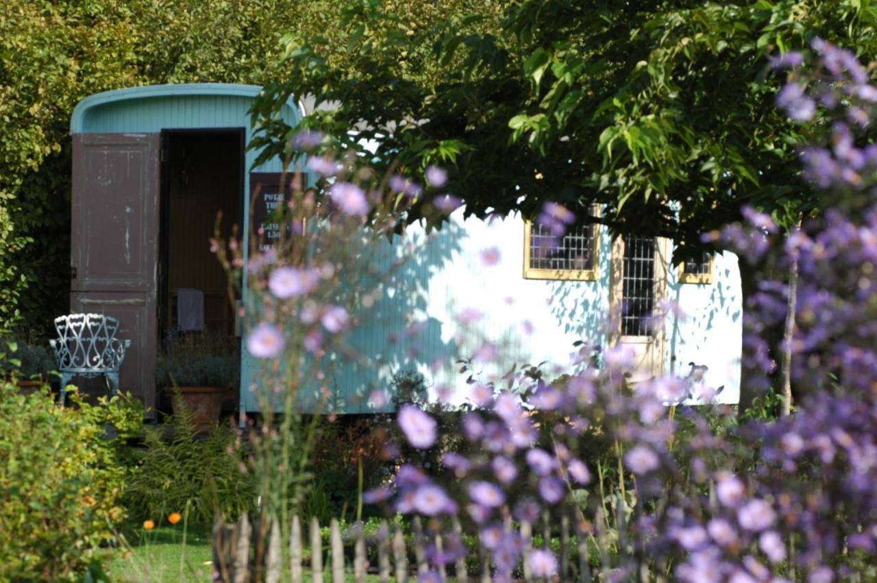 Pipowagen Overnachting Het Houten Huis Zaltbommel Esterno foto